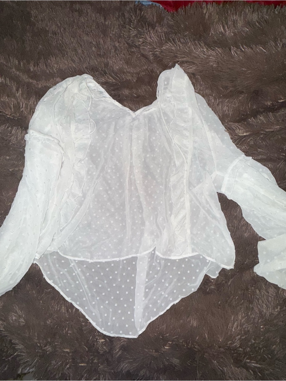 Express White Sheer Swiss Dot Ruffle Blouse